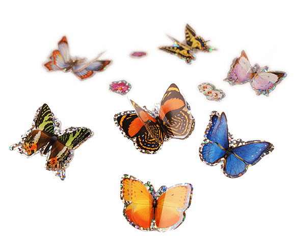 3D Butterfly Stickers - Image 6