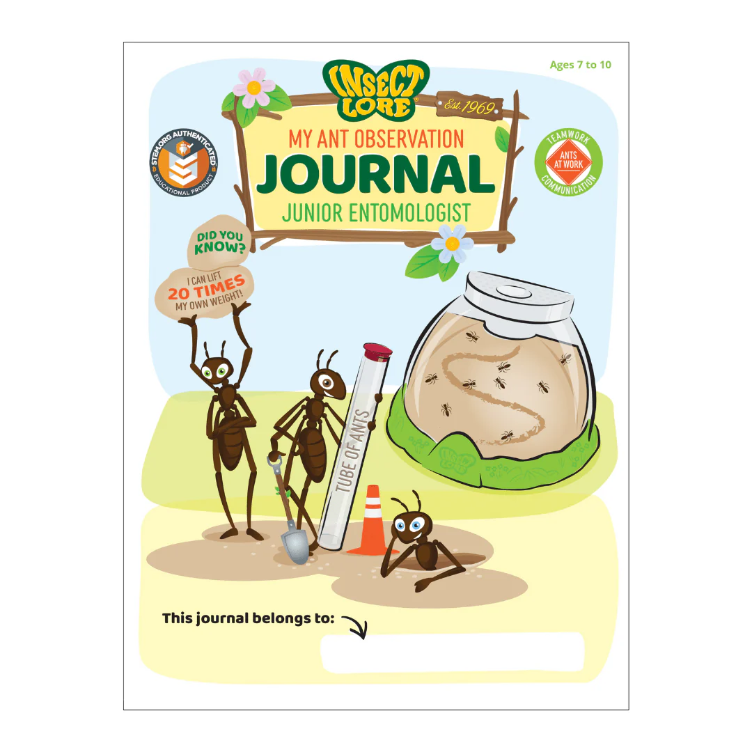 Ant Hill™ with Prepaid Voucher for Live Ants - Image 4