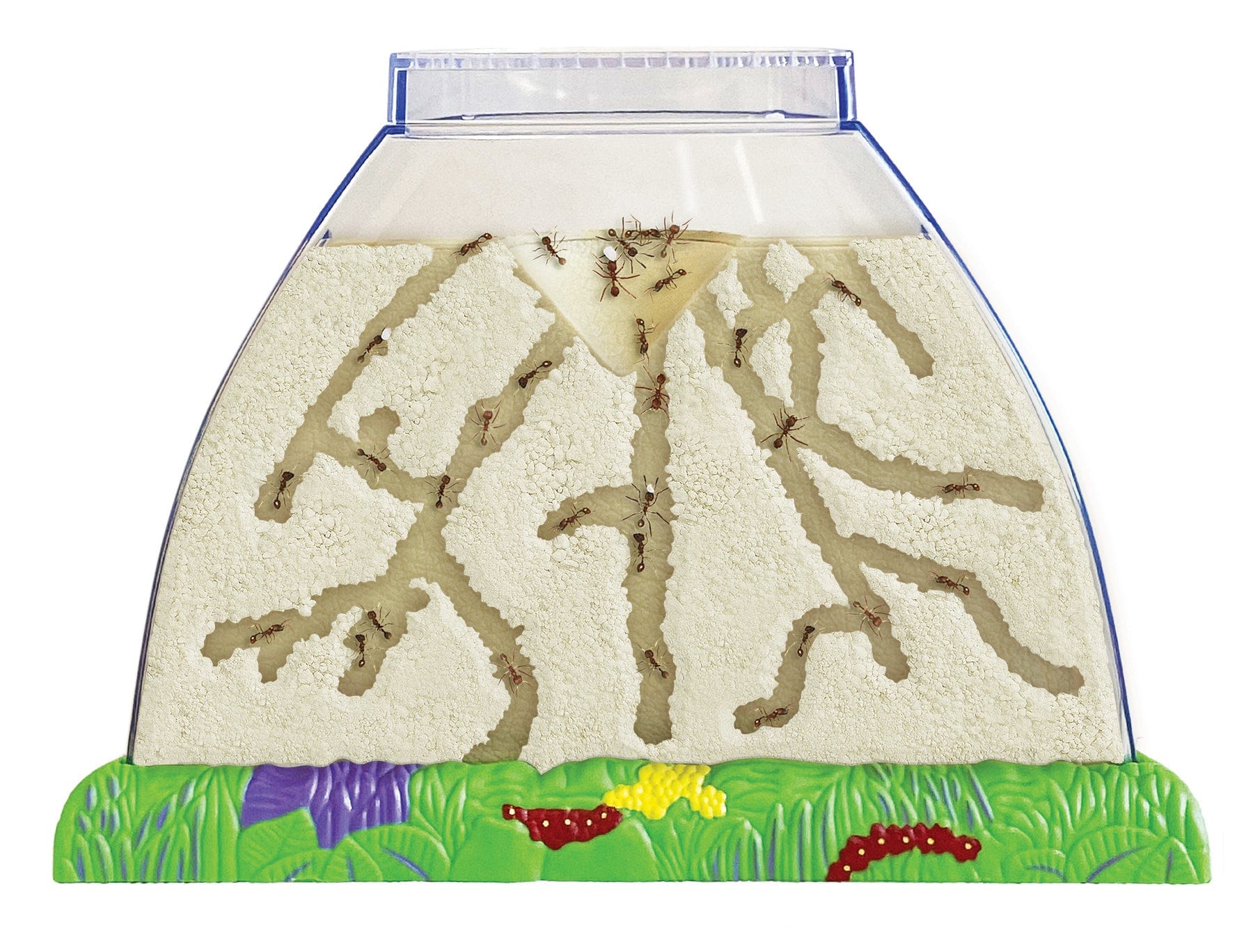 Ant Hill™ with Voucher for Live Ants - Image 4