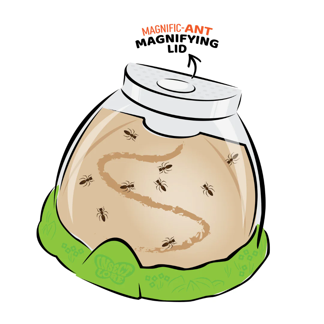 Ant Hill™ with Prepaid Voucher for Live Ants - Image 7