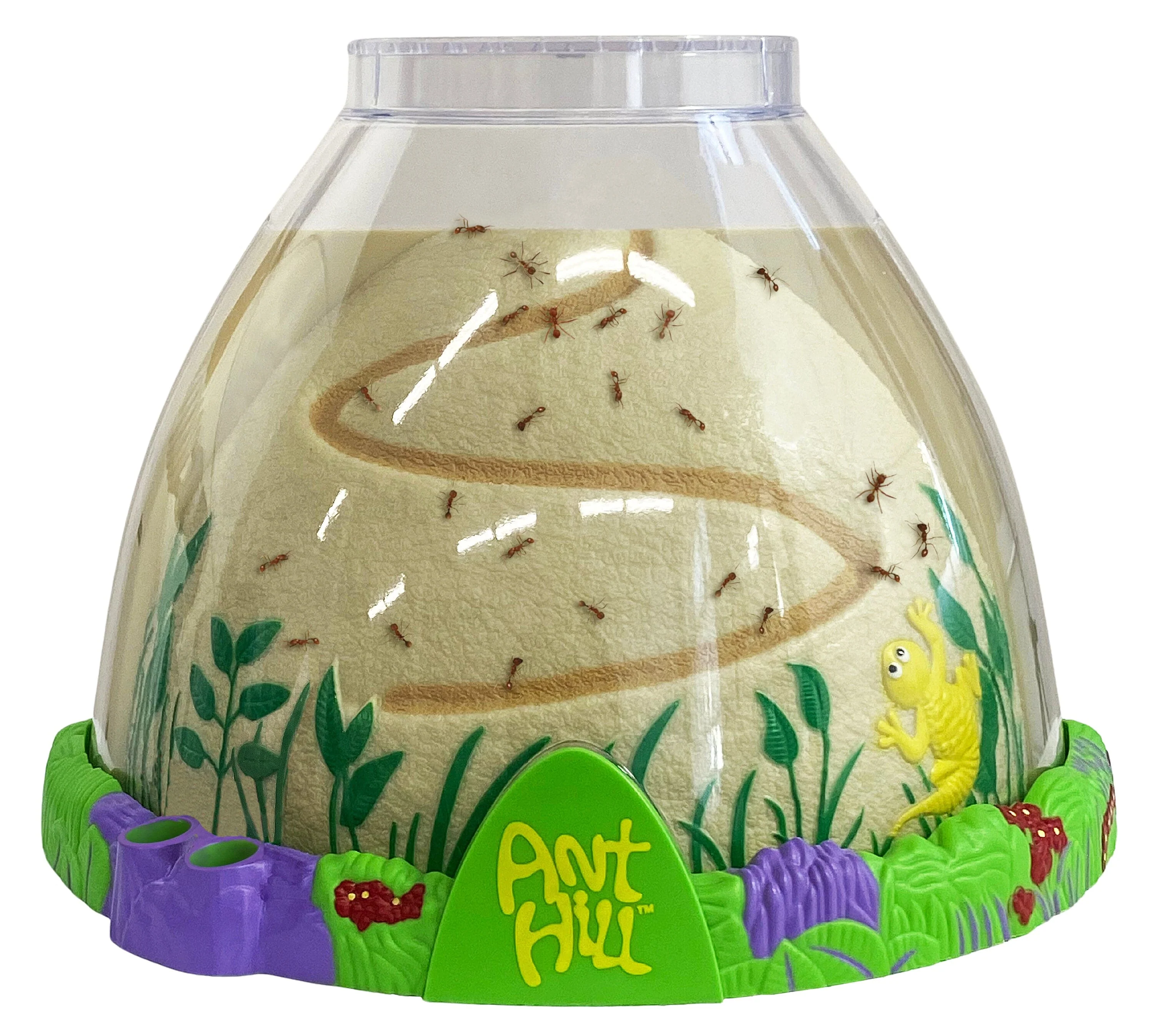 Ant Hill™ with Voucher for Live Ants - Image 3