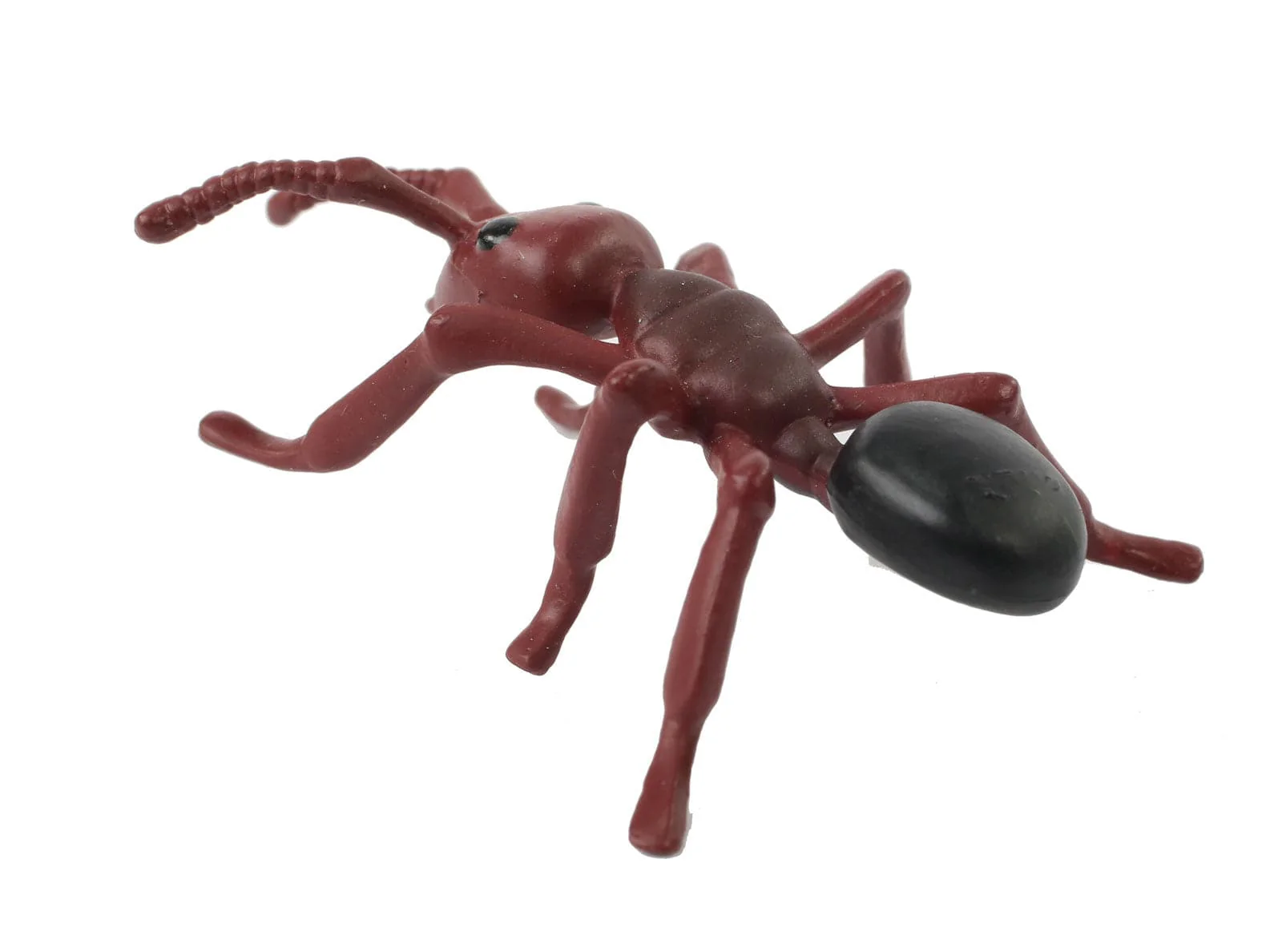 Ant Life Cycle Figurines - Image 7