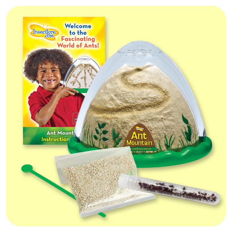 Ant Mountain - Prepaid Show Special Redemption