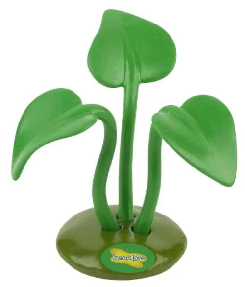 Butterfly Fruit Feeder - Special Offer! - Image 5