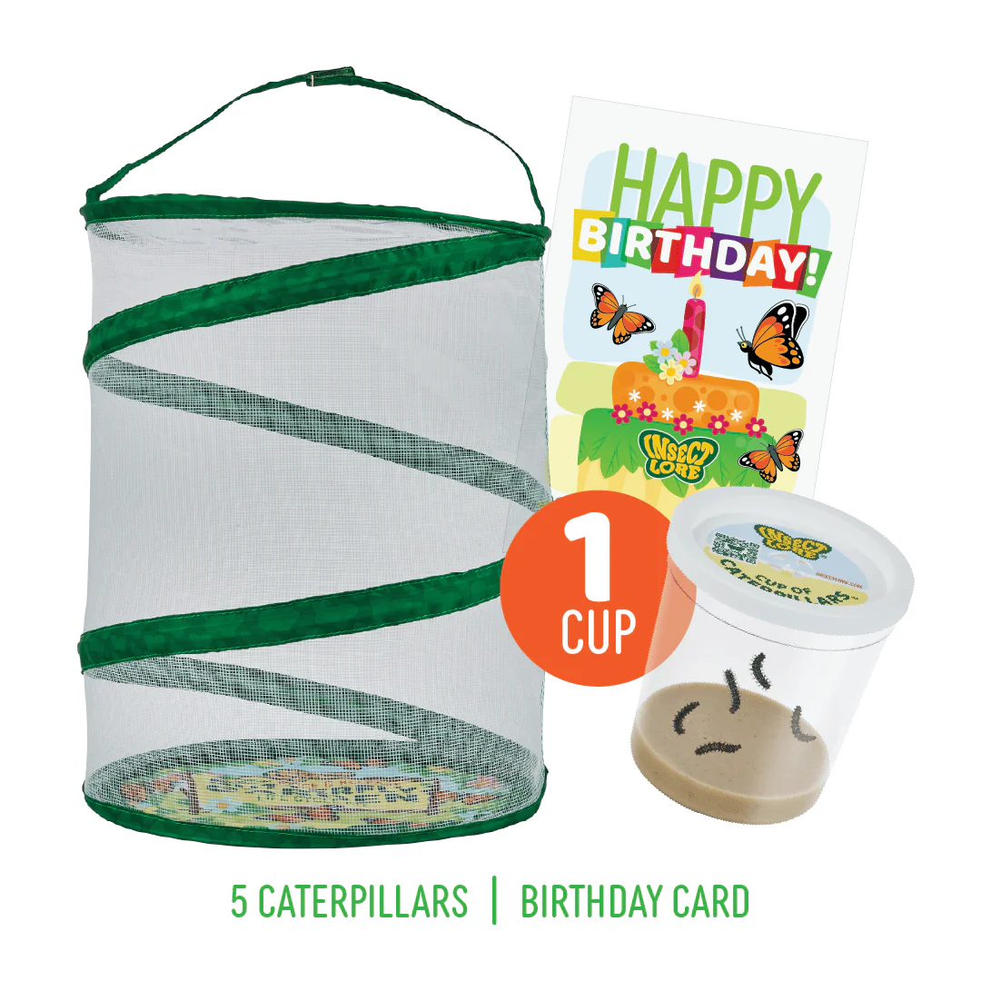 HOMEPAGE Kits With Live Insects