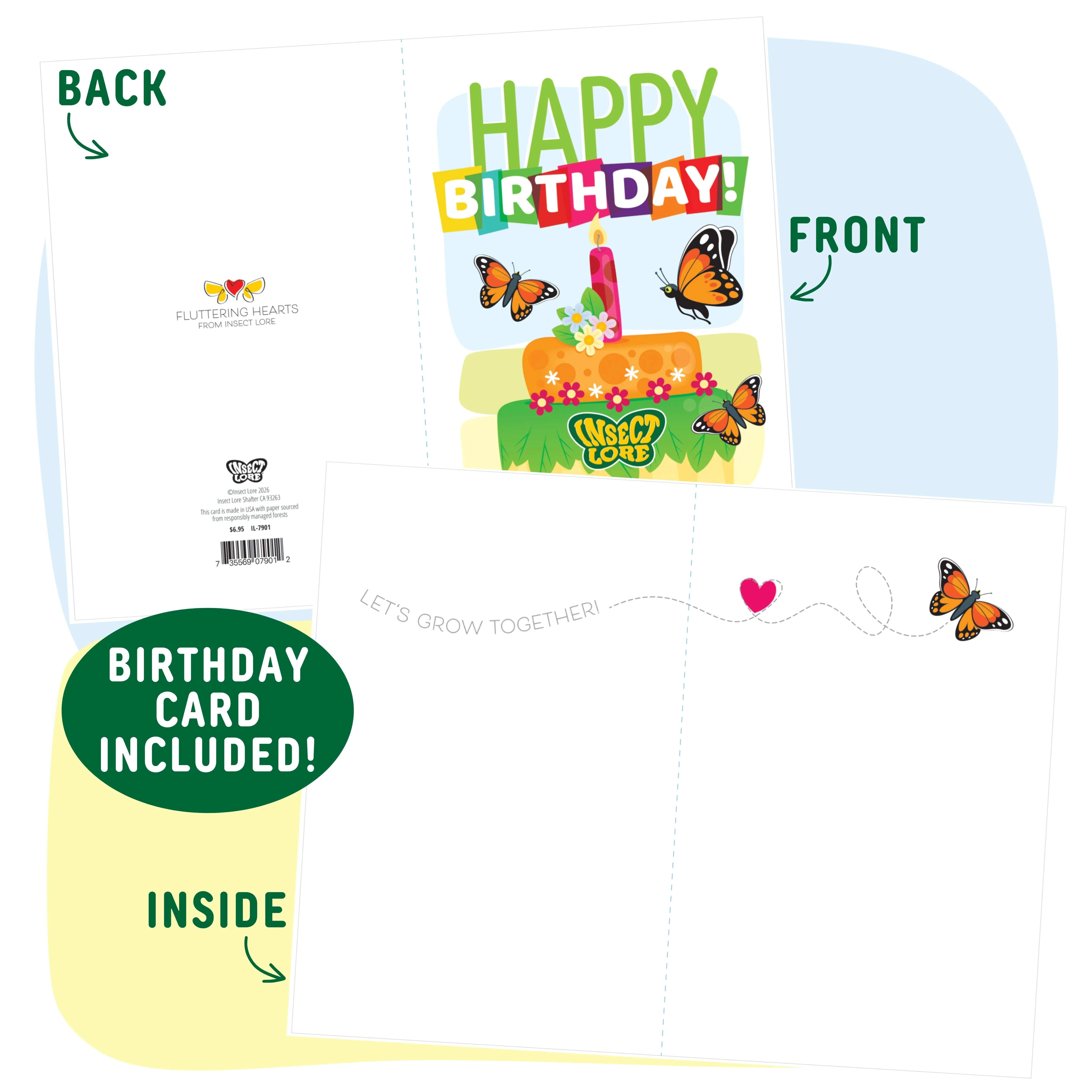 Butterfly Garden® Birthday Kit with Live Caterpillars - Image 6