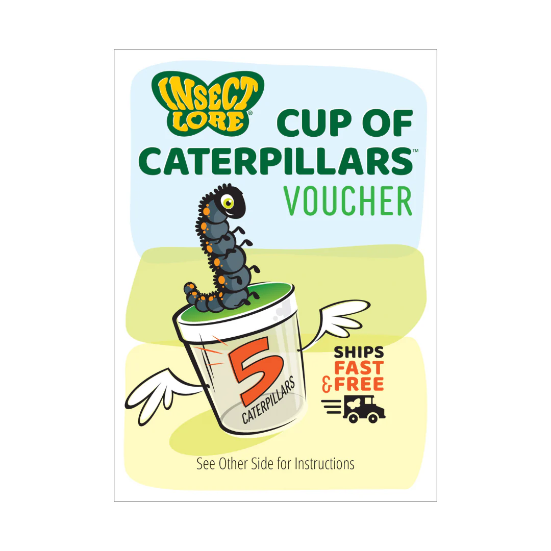 Butterfly Garden® With Prepaid Voucher - Image 5