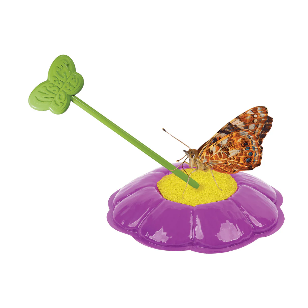 Butterfly Garden® With Prepaid Voucher - Image 7