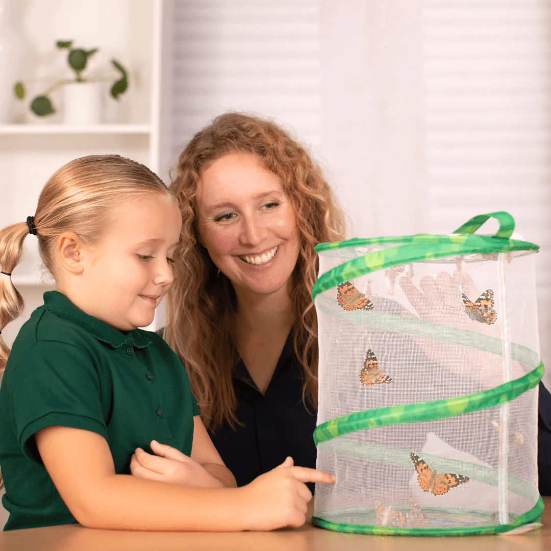 Butterfly Garden® With Voucher - Image 4