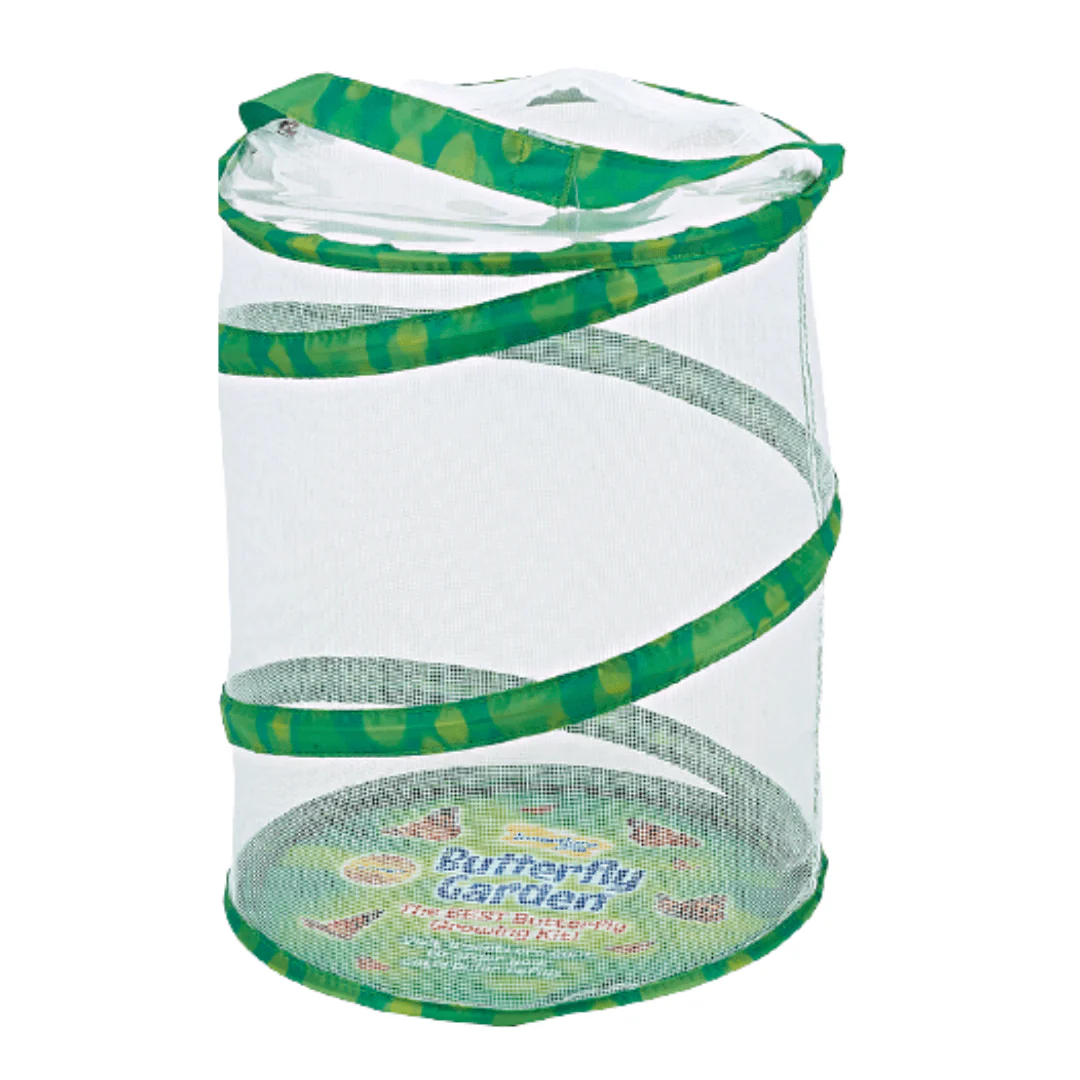 Butterfly Garden® With Voucher - Image 2