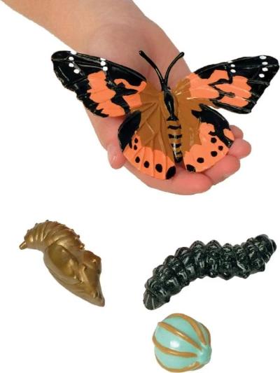 Butterfly Life Cycle Figurines - Image 3