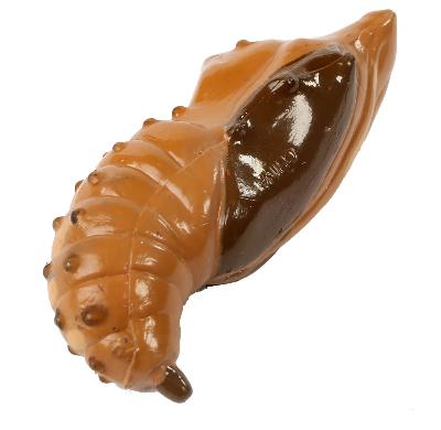 Butterfly Life Cycle Figurines - Image 6