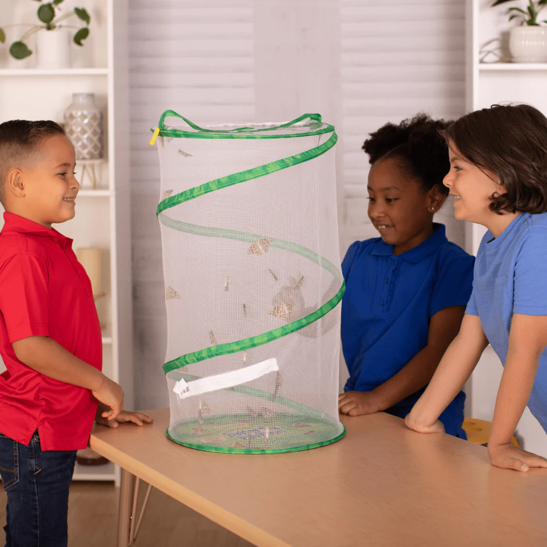 Butterfly Pavilion® School Kit With 33 Live Caterpillars - Image 3