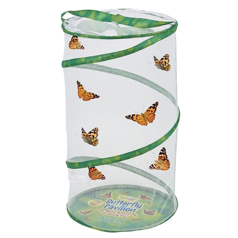 Butterfly Pavilion® With Voucher - Image 3
