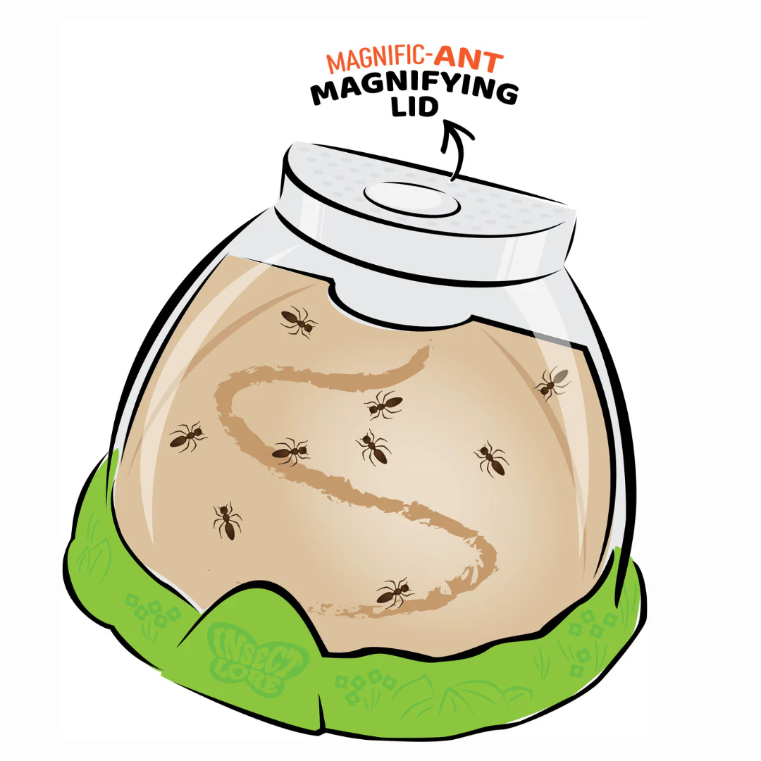 Ant Hill™ with 2 Tubes of Live Ants - Image 3