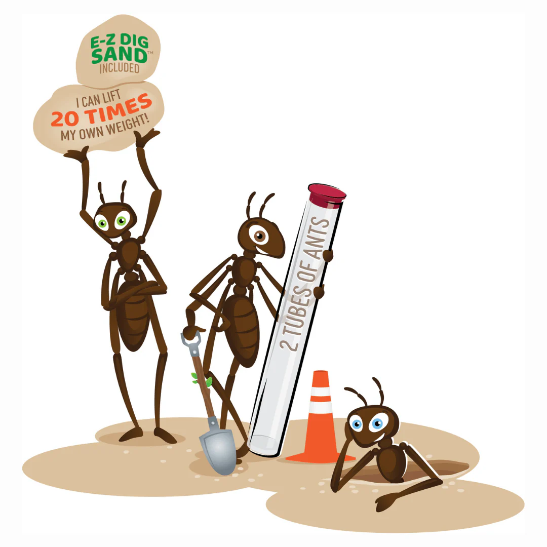 Ant Hill™ with 2 Tubes of Live Ants - Image 5