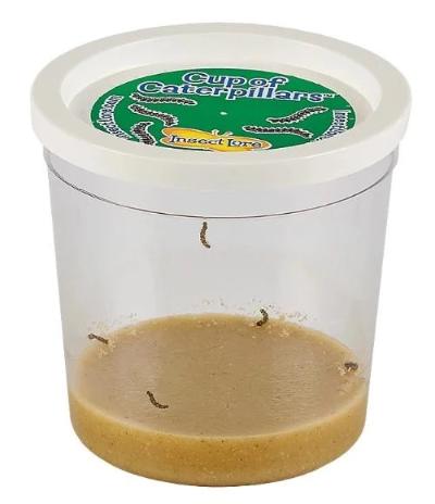 Cup Of Caterpillars - Prepaid Redemption - Image 3