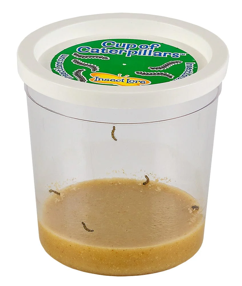 Cup Of Caterpillars Redemption - $8.95 - Image 3