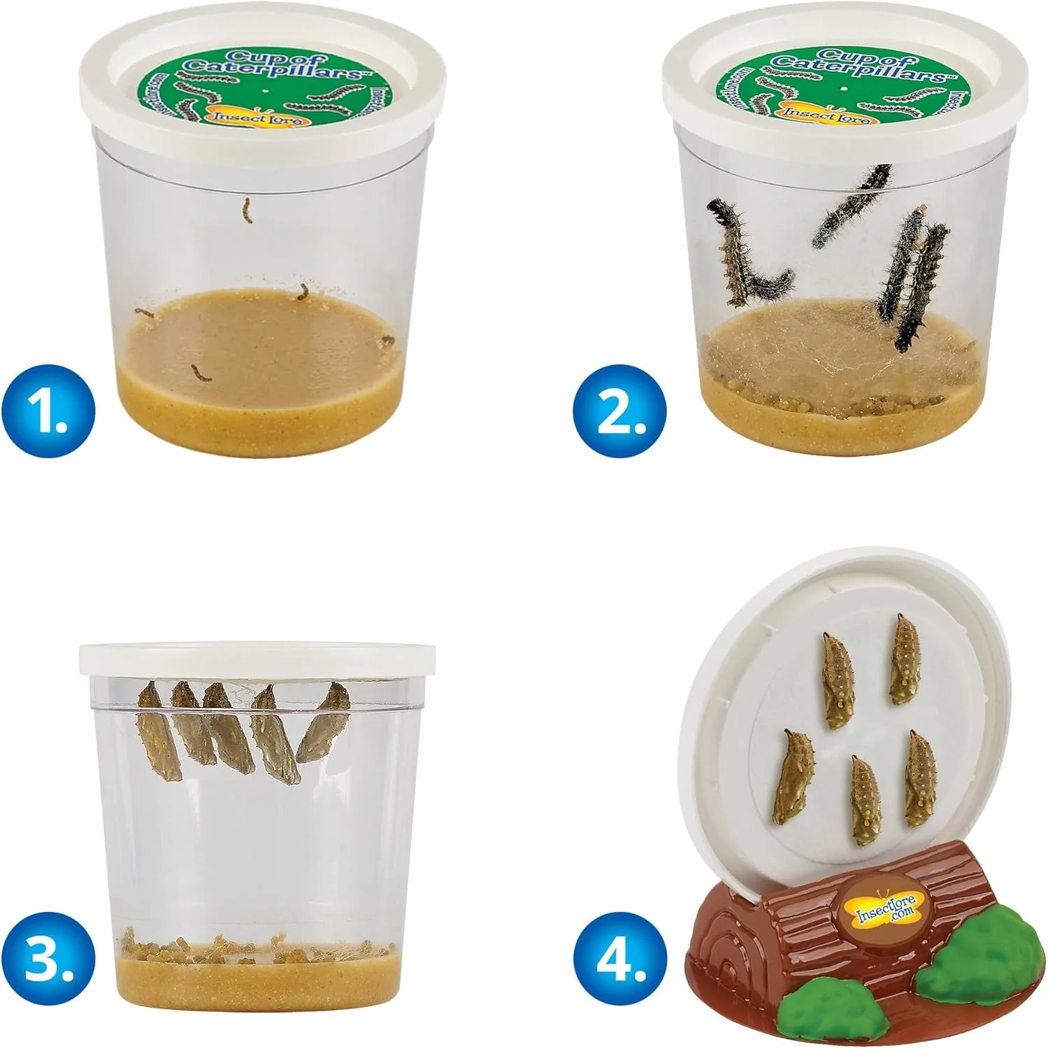 Cup Of Caterpillars™ - Image 3