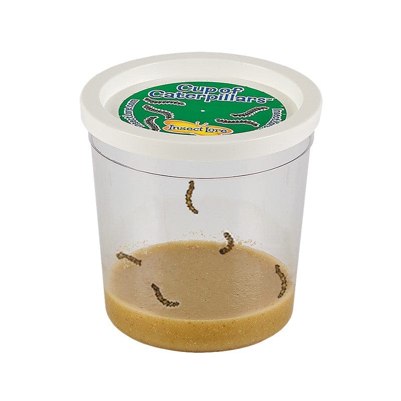 Cup Of Caterpillars™ - Image 4