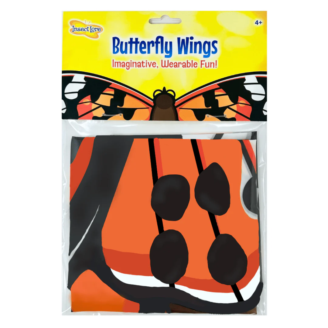 Dress Up Painted Lady Butterfly Wings - Five Piece Party Pack! - Image 4