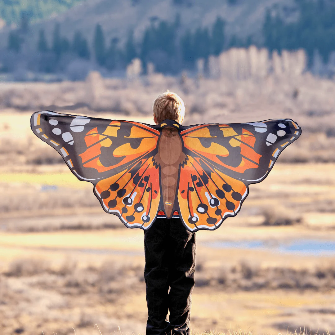 Dress Up Painted Lady Butterfly Wings - Special Offer! - Image 4