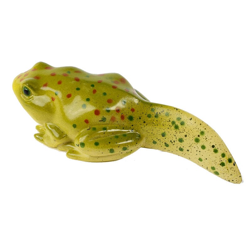 Frog Life Cycle Figurines - Image 5