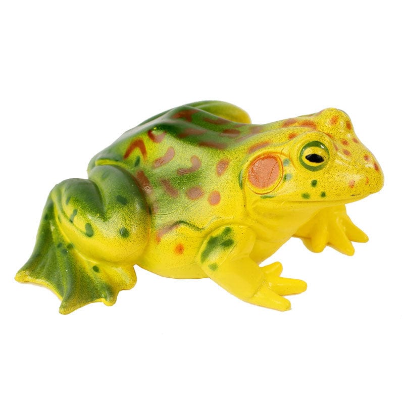 Frog Life Cycle Figurines - Image 6