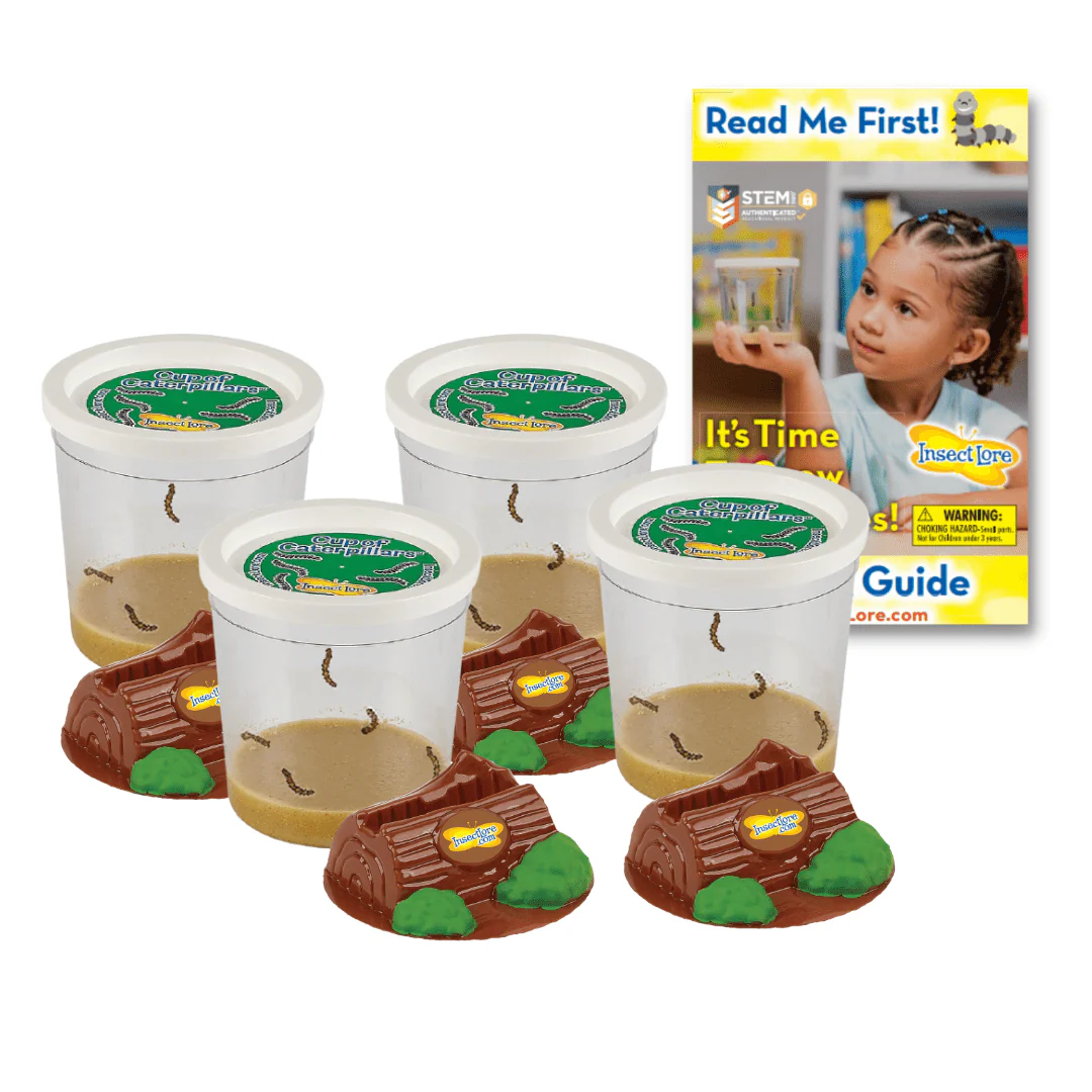 Funtastic 4 Cup Caterpillar Refill - Image 3