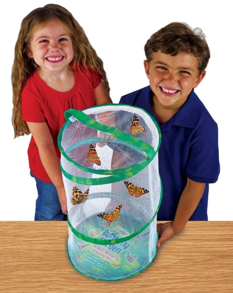 Giant Butterfly Garden® With Voucher - Image 3