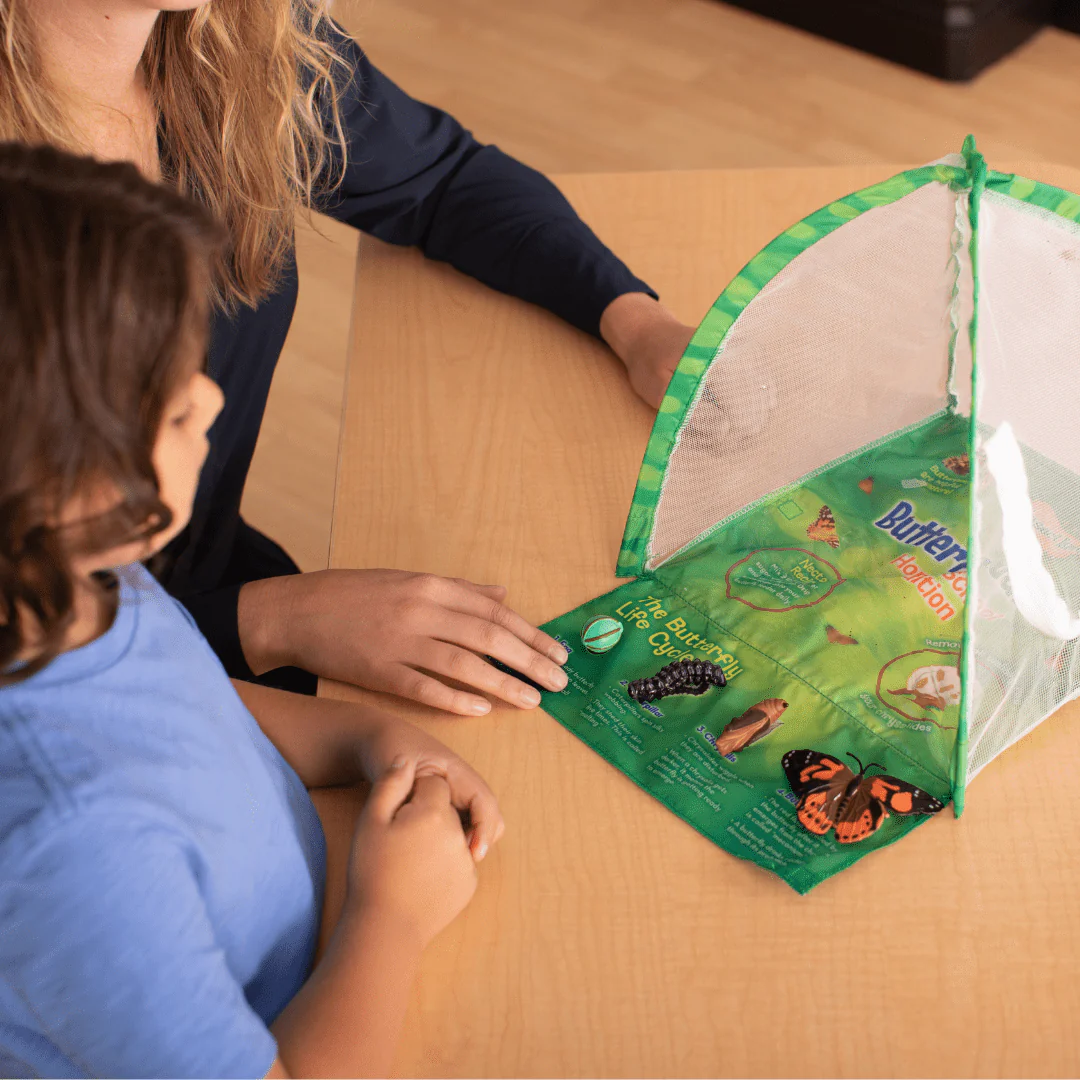 Butterfly Garden® Early Learning Edition with Live Caterpillars - Image 5