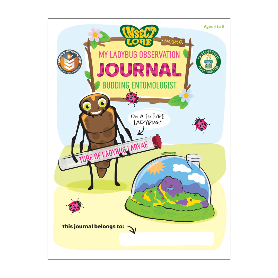 Ladybug Land® With Prepaid Voucher - Image 6