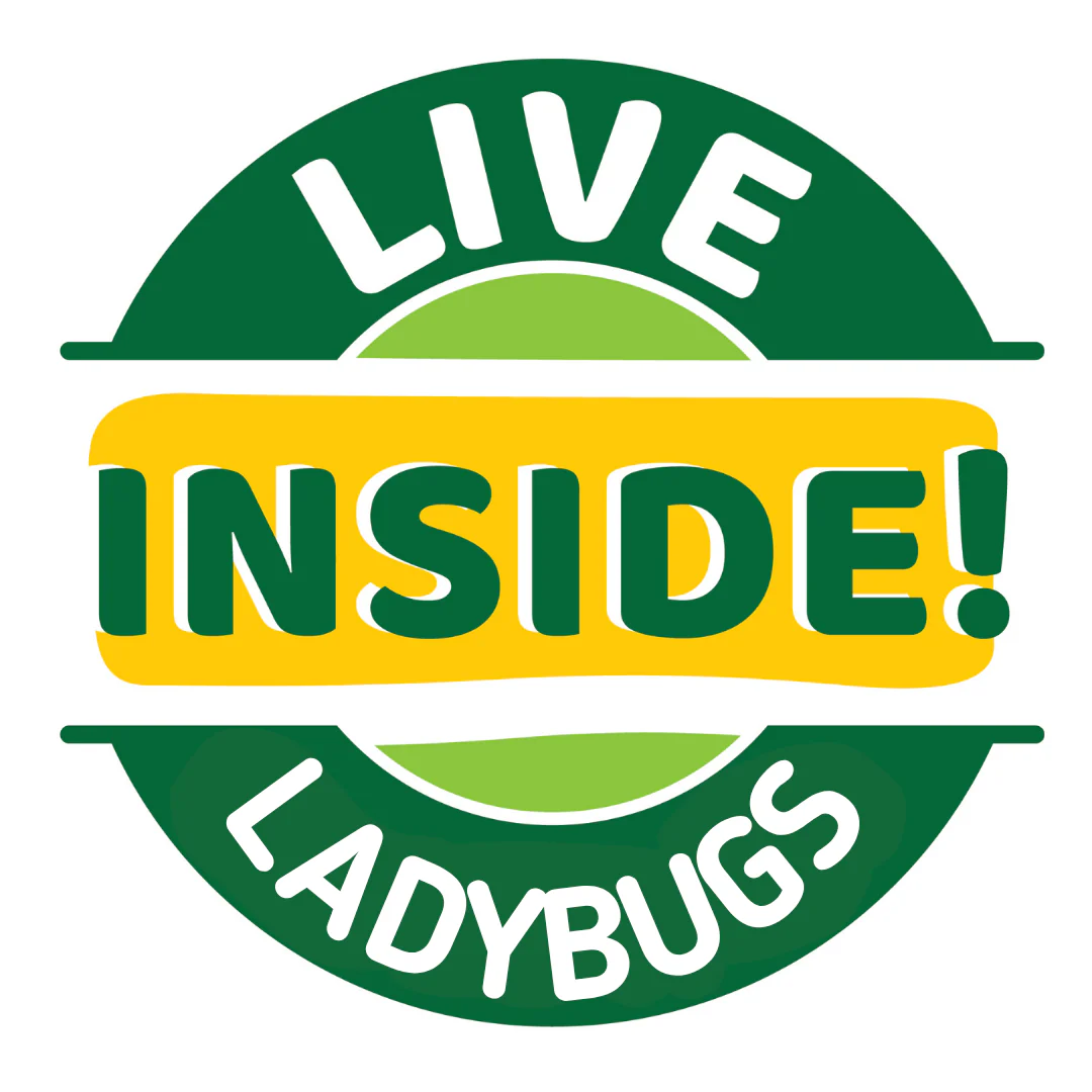 Ladybug Land® With 2 Tubes of Live Ladybug Larvae - Image 5