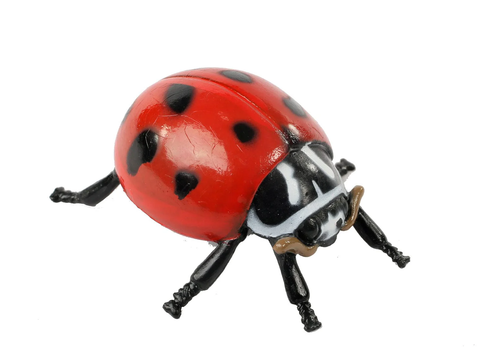 Ladybug Life Cycle Figurines - Image 6