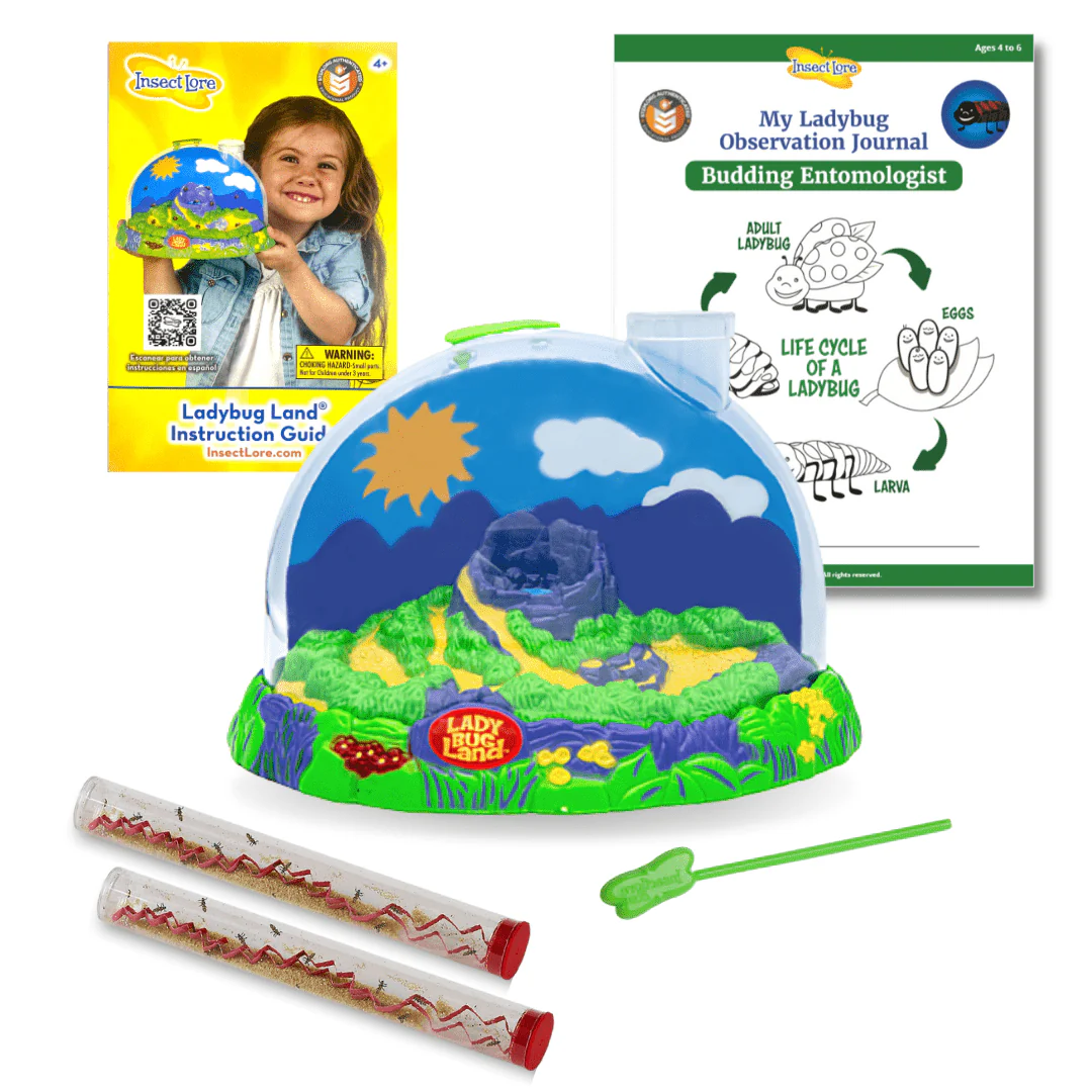 Life Cycle Lessons Bundle - Image 3