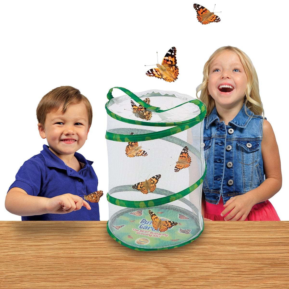 Butterfly Garden® With Live Cup of Caterpillars™ - Image 5