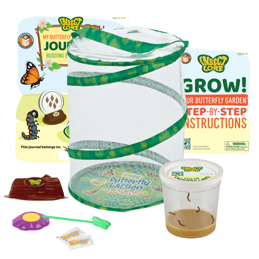 Butterfly Garden® With Live Cup of Caterpillars™ - Image 8