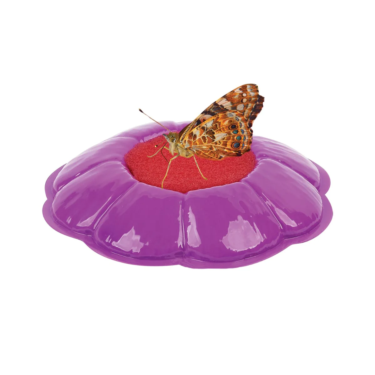 Spring Beginnings Bundle with Live Cup of Caterpillars™ - Image 4
