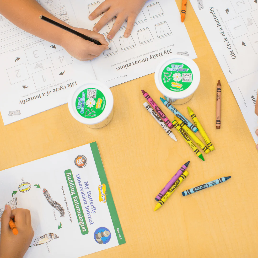 STEM Activity Journal - Budding Entomologist - Image 3