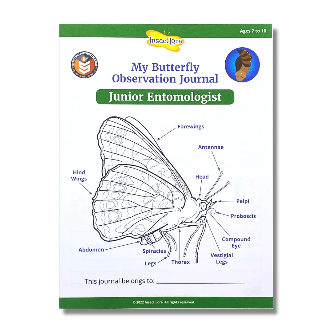 STEM Butterfly Activity Journal Bundle (Budding/Junior) - Image 3