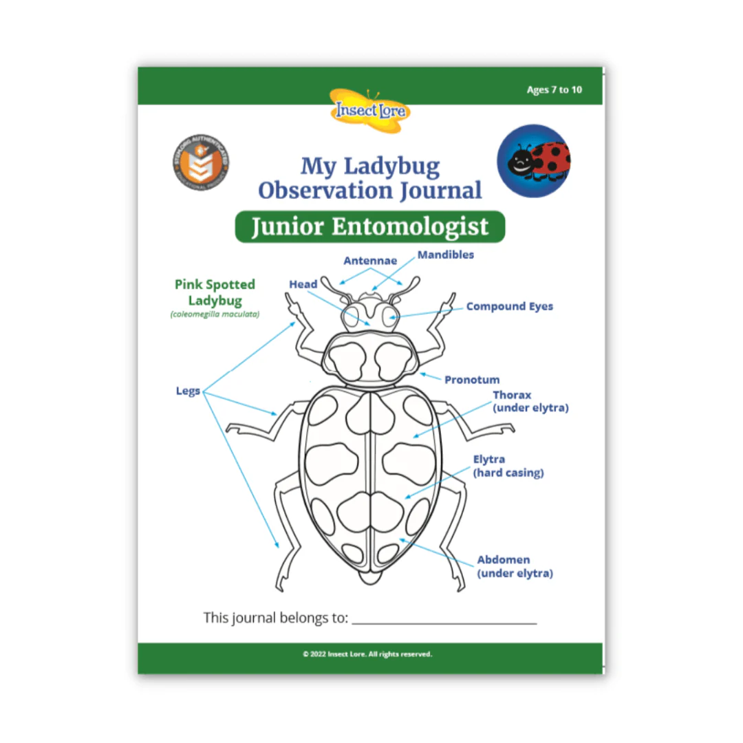 STEM Ladybug Activity Journal Bundle (Budding/Junior) - Image 3