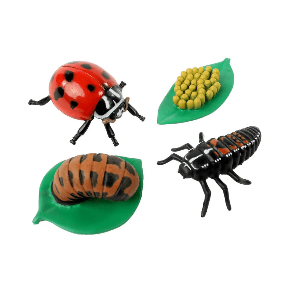Bug Camp - Image 3