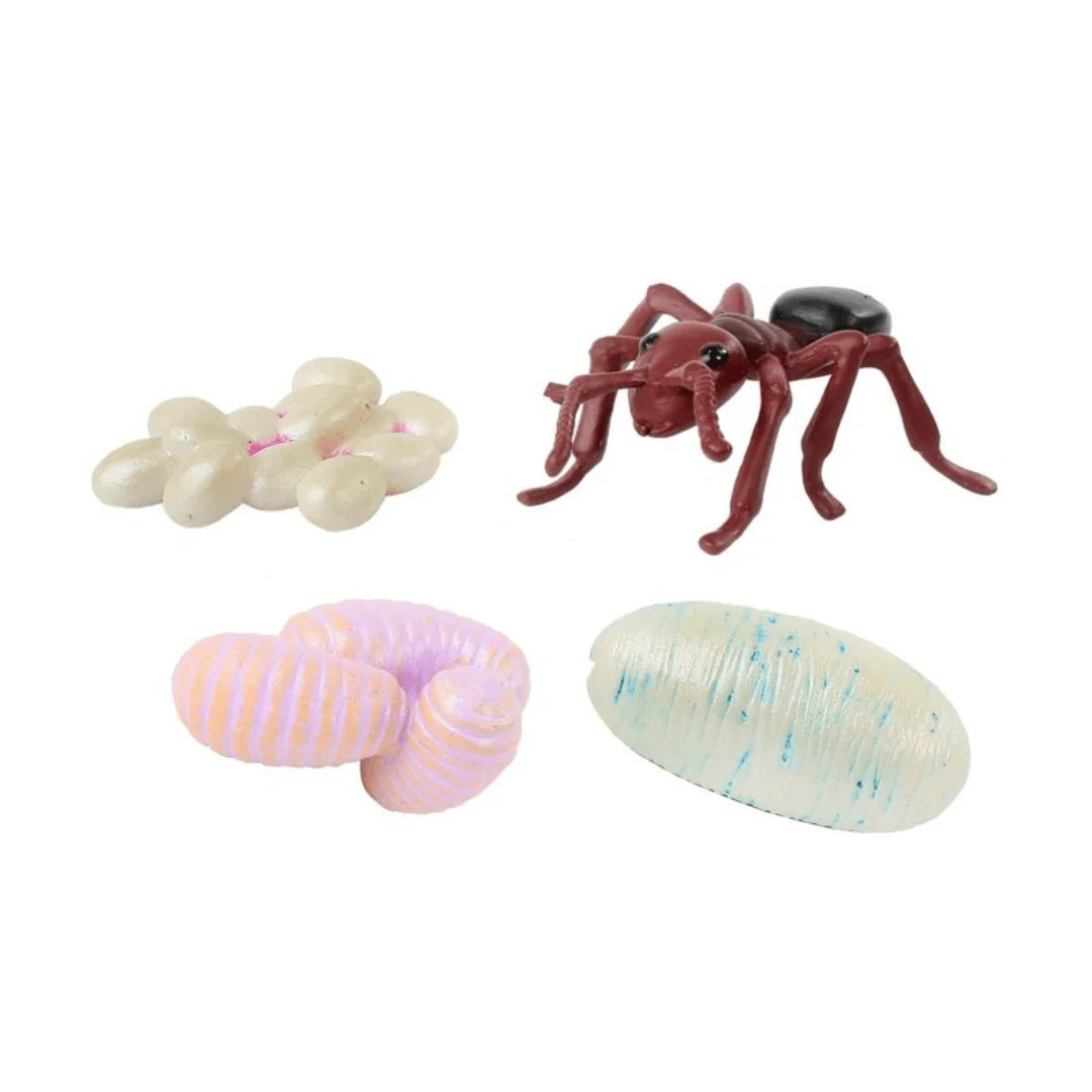 Bug Camp - Image 4