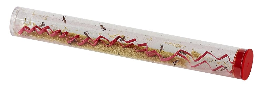 Tube of Ladybug Larvae Redemption - $7.95 - Image 2