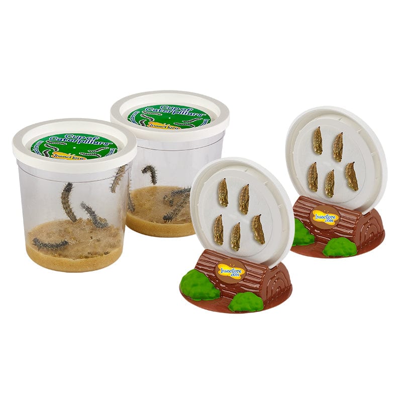 Two Cups of Caterpillars™ - Image 3