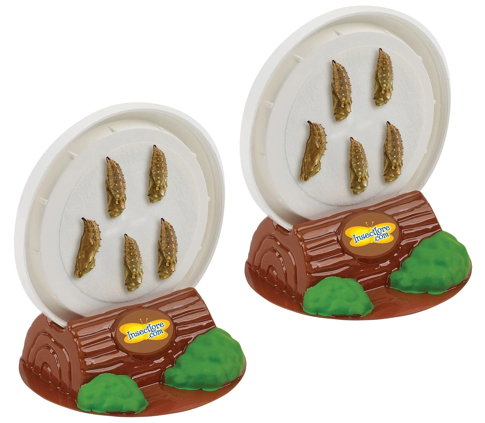 Two Cups of Caterpillars™ - Image 4