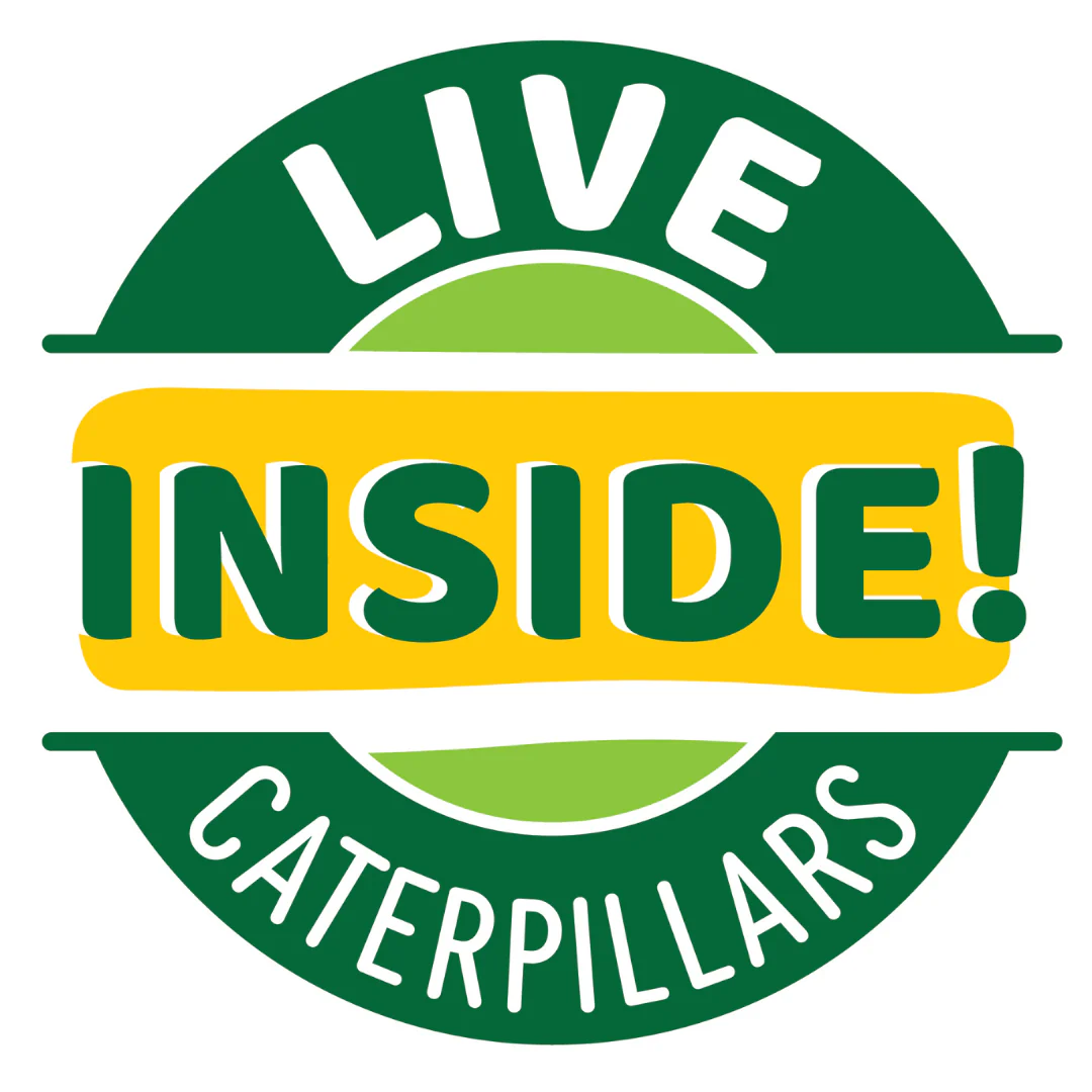Two Cups of Caterpillars™ - Image 7