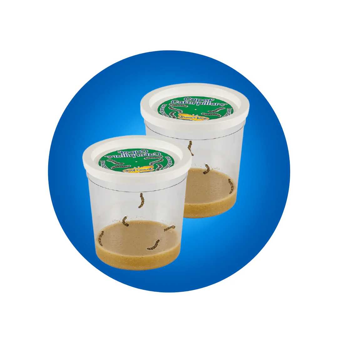 TWO Cups of Caterpillars Redemption - $8.95